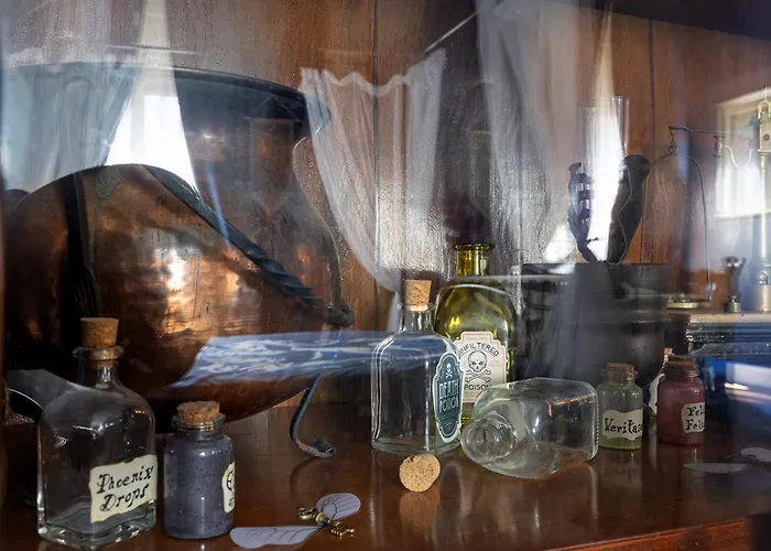 Guesthost - The House Of Harry Potter And A Story